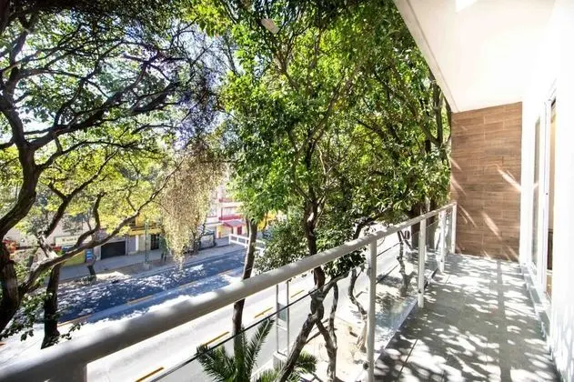 Amazing 2BDRM Apartment in Xola Narvarte, CDMX - İç Mekan