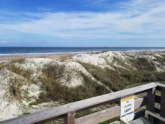 Amazing 4 Bedroom, Oceanfront, Hot Tub - Pink Flamingo - Plaj