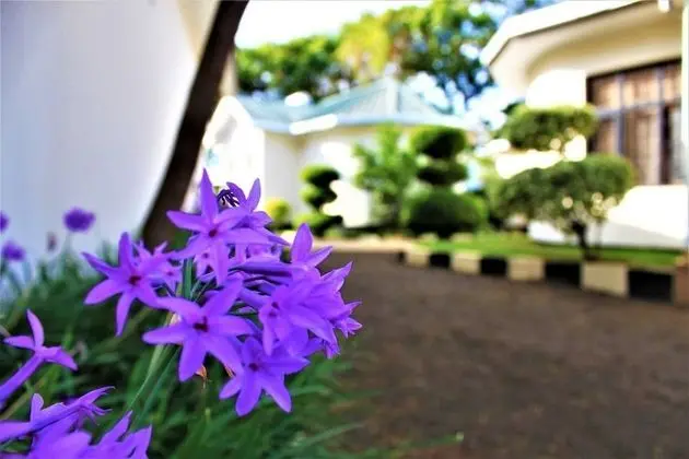 Amazing Accommodation in Arusha Furaha Lodge - Mülk Olanakları