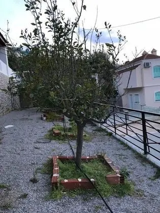 Amazing Apartment in the Heart of Masouri - Dış Mekan