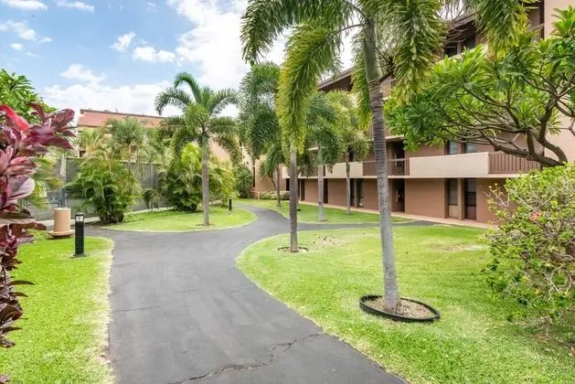 Amazing Beach Condo Maui Vista