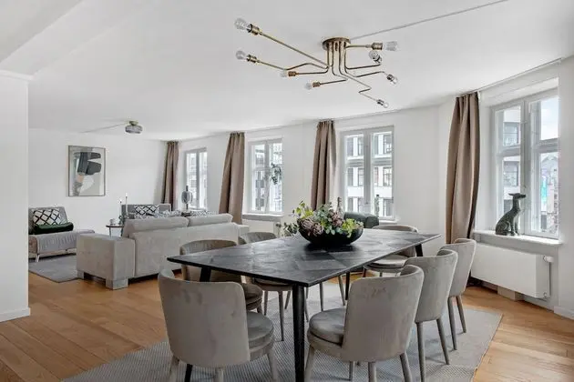 Amazing and Spacious Apartment Right in the Middle of Copenhagen All Yours
