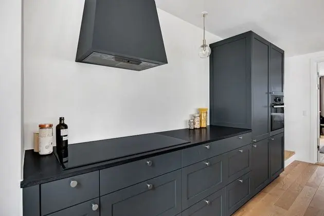 Amazing and Spacious Apartment Right in the Middle of Copenhagen All Yours - İç Mekan