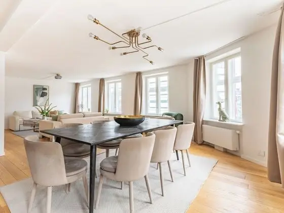 Amazing and Spacious Apartment Right in the Middle of Copenhagen All Yours - Öne Çıkan Resim