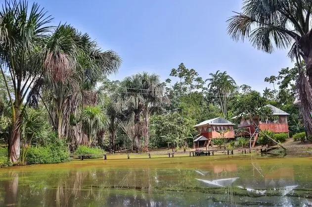 AMAZON CANOPY EXPEDITIONS ECOLODGE - 1