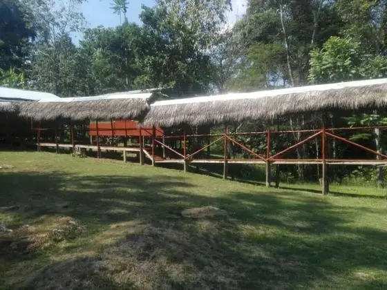 Amazon Queen Lodge