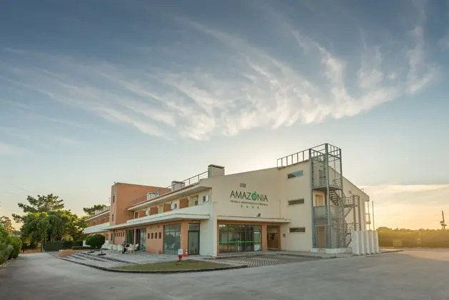 Amazonia Palmela