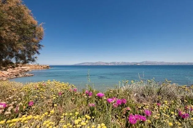 Ambelas Mare - Plaj