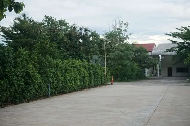 The Amber Mansion