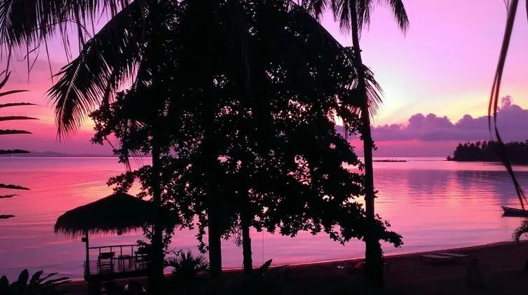 Amber Sands Beach Resort - Plaj