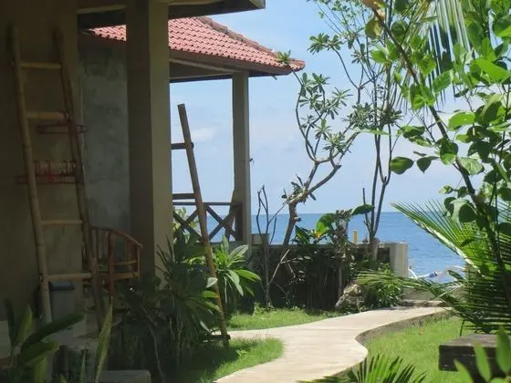 Amed Sari Beach Guesthouse