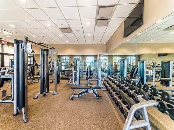 American Dream - Fitness