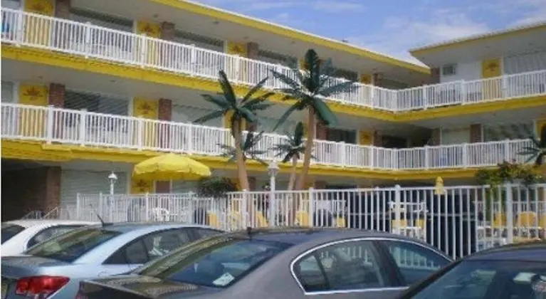 American Safari Motel