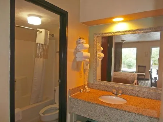 Americas Best Value Inn - Augusta/South - Banyo Tipleri