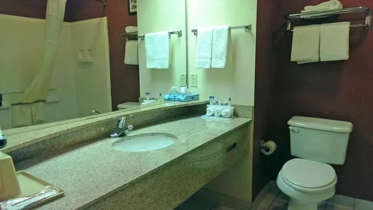 Americas Best Value Inn-Temple/Killeen - Banyo Tipleri