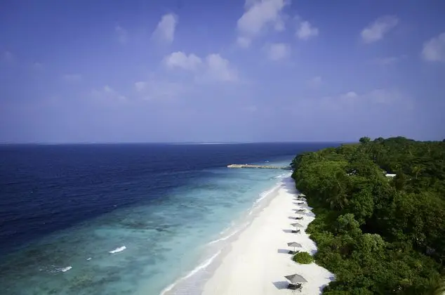 Amilla Fushi