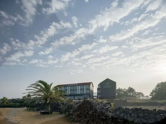 Amor House