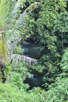 AMORA UBUD BOUTIQUE VILLAS - Dış Mekan