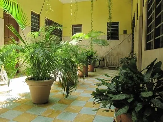 Hotel Amparo - Lobi