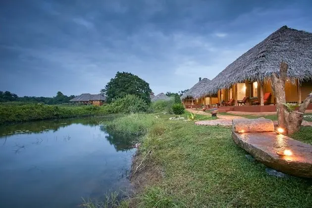 Amuna Ayurvedic Retreat