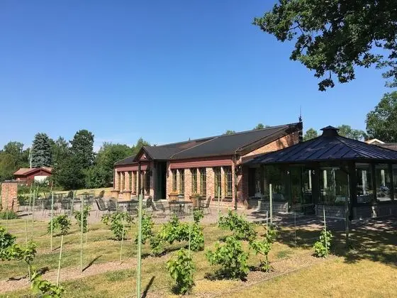 Åmund Vin & Fruktgård - 1