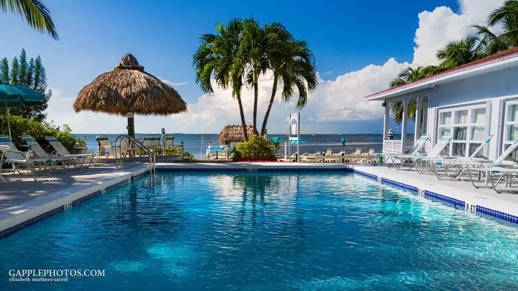 Amy Slate's Amoray Dive Resort