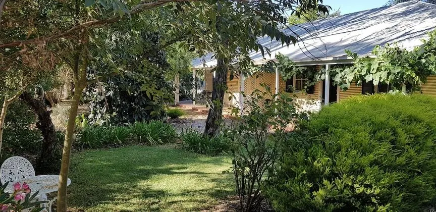 Amy's House
