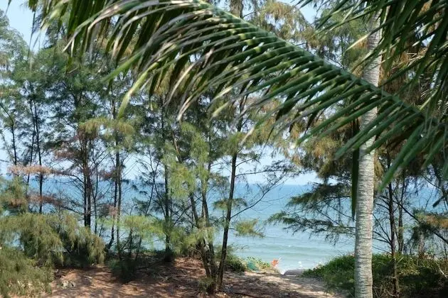 An Bang Beach Hideaway Homestay - Dış Mekan