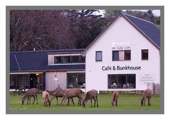 An Cala Cafe and Bunkhouse