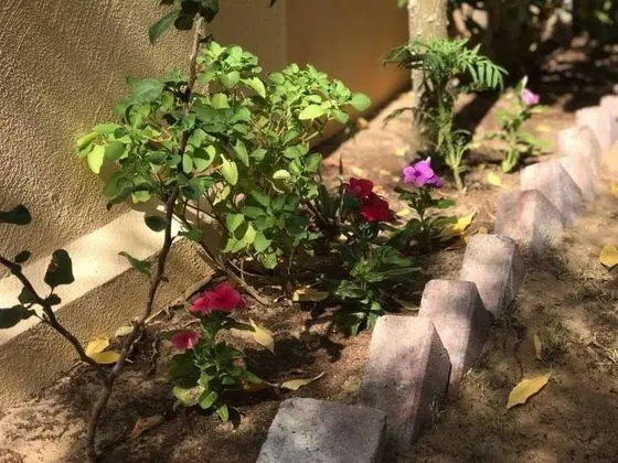 An Eco-friendly Villa in Middle of Jvc, Dubai - Dış Mekan