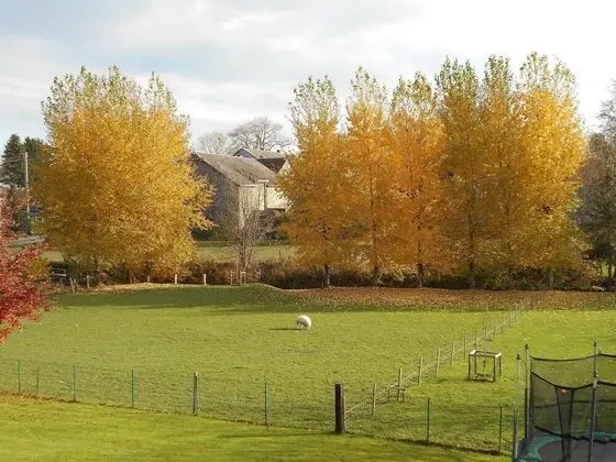 An Extremely Pleasant House Just a few Kilometres From Bastogne - Dış Mekan