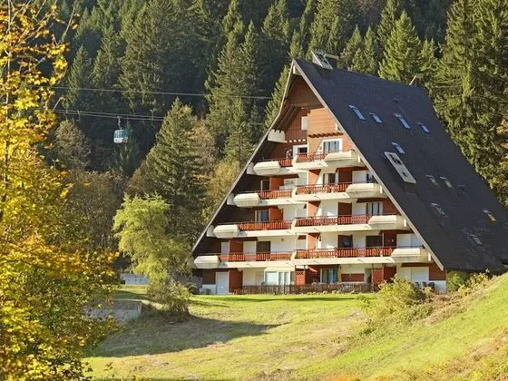 An Mone Gryon in Gryon