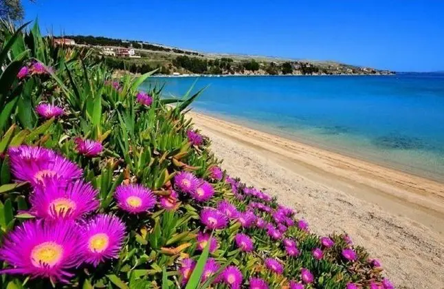 Ana - Great Location, Near the Beach - A1 - Plaj