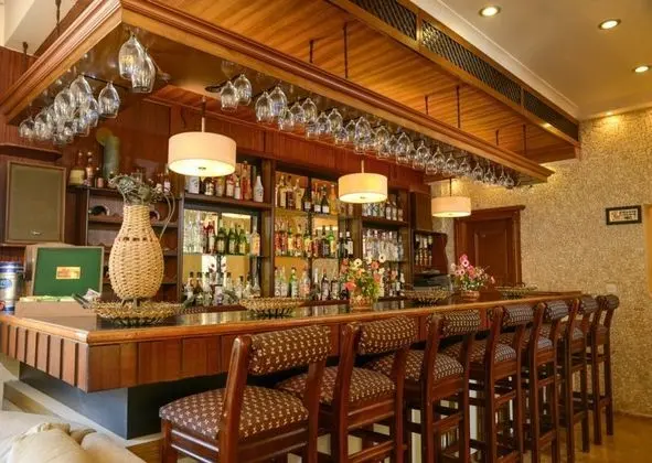 Anadol Hotel - Bar
