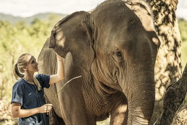 Anantara Golden Triangle Elephant Camp & Resort