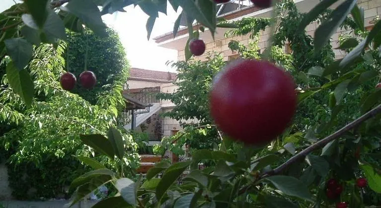 Anatolia Pension