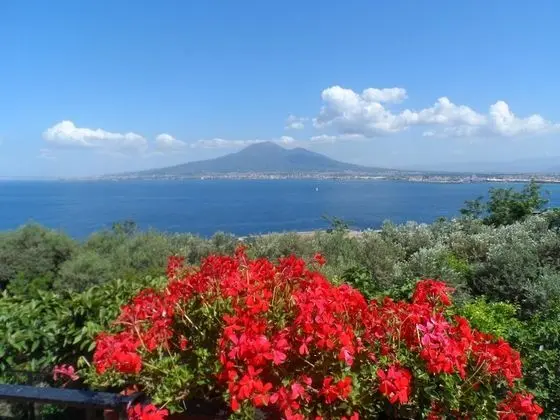 Ancelle Sorrento