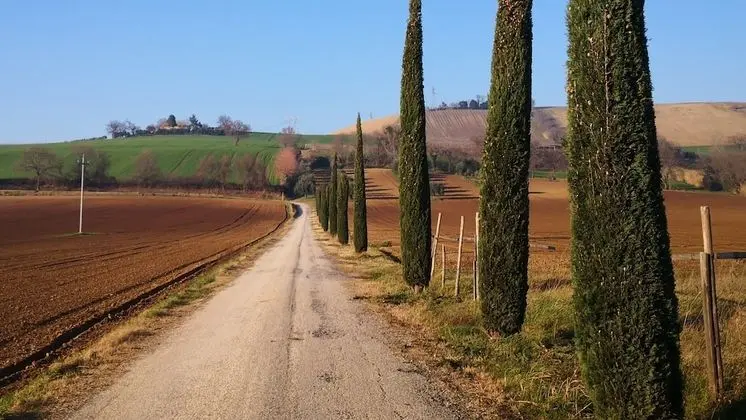 Ancient Farmhouse With Winery Xiv Century