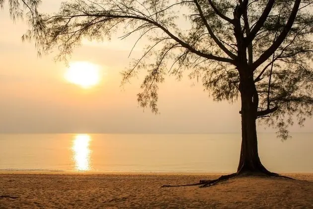 The Anda Mani Khaolak Beachfront Villas - Plaj