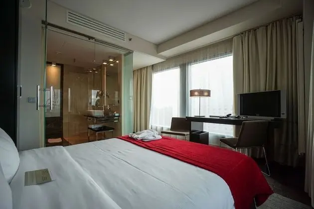 Andersia Hotel & Spa Poznan, a member of Radisson Individuals - Oda