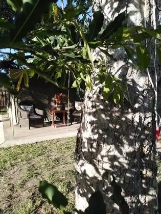 Andova Tented Camp - Lobi