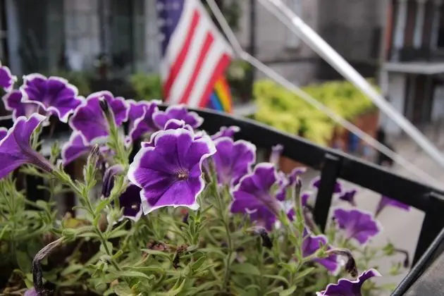 Andrew Jackson Hotel®, a French Quarter Inns® Hotel