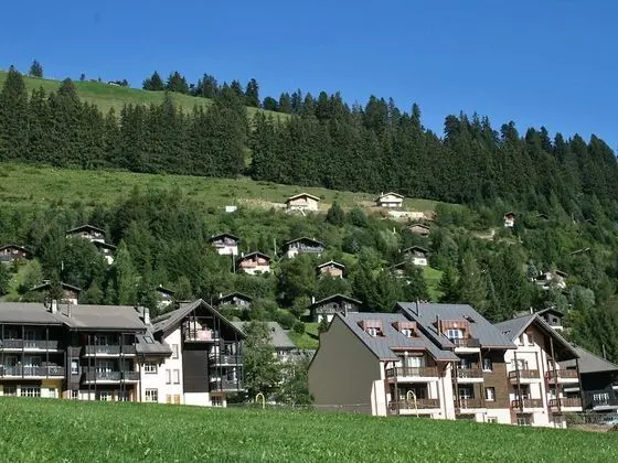 Androm de 6 Mol Son-sur-gruy res