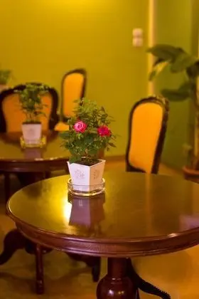 Andromeda Suites - Yerinde Yemek