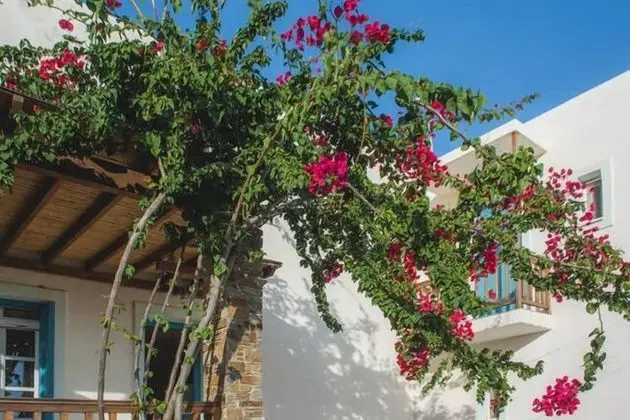 Andros Maisonettes - Dış Mekan