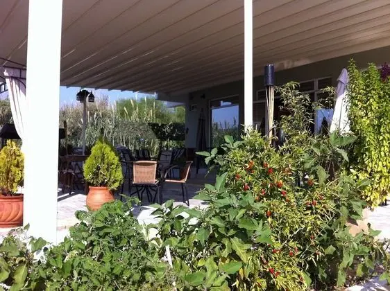 Anelia Boutique Studios & Apartments - Dış Mekan