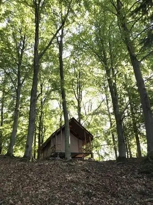 Anfasteröd Gårdsvik