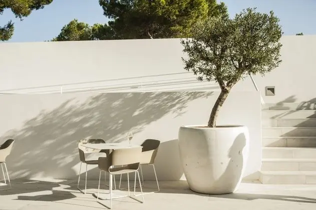 Hotel Ánfora Ibiza - Dış Mekan