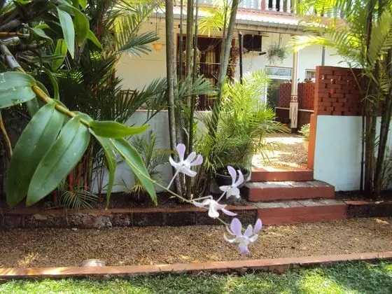 Angel Villa - Exotic Holidays in Private Villa Near Beach - Dış Mekan