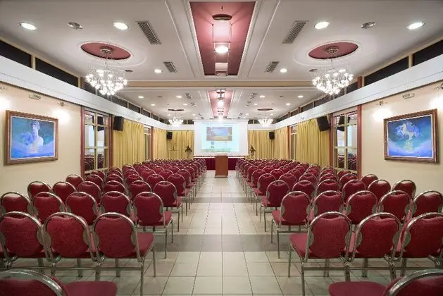 Angelika Pallas - İş / Konferans